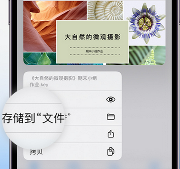 福建apple维修中心分享iPhone文件应用中存储和找到下载文件