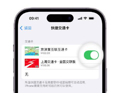 福建apple维修点分享iPhone上更换Apple Pay快捷交通卡手绘卡面 