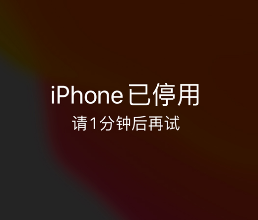 福建苹果手机维修分享:iPhone 显示“不可用”或“已停用”怎么办？还能保留数据吗？ 