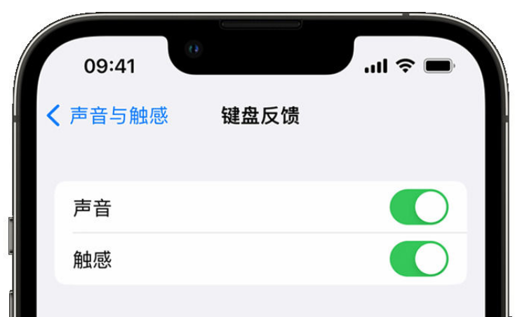 福建苹果手机维修分享iPhone 14触感键盘使用方法 