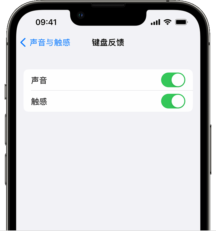 福建苹果14维修店分享如何在 iPhone 14 机型中使用触感键盘 