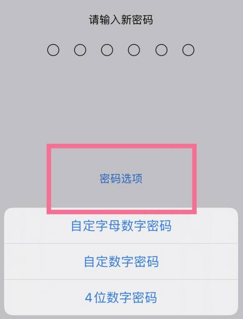 福建苹果14维修分享iPhone 14plus设置密码的方法 